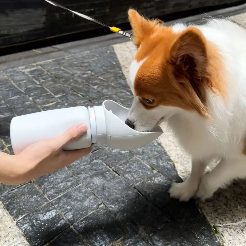 Portable Pet Water Bottle