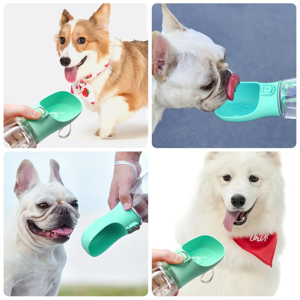 Leakproof Pet Water Bottle