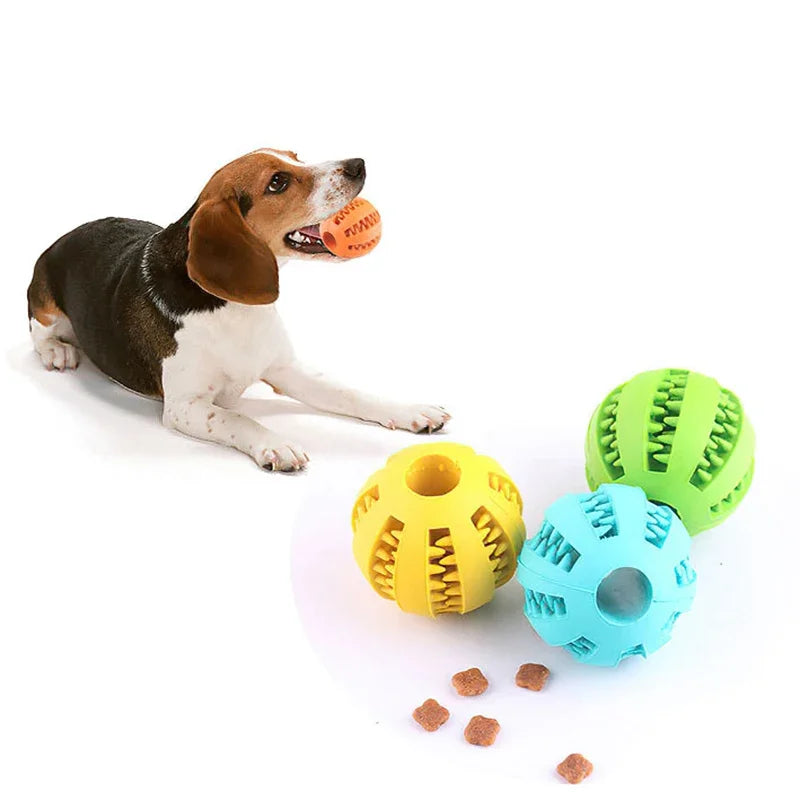 Interactive Puppy Chew Ball