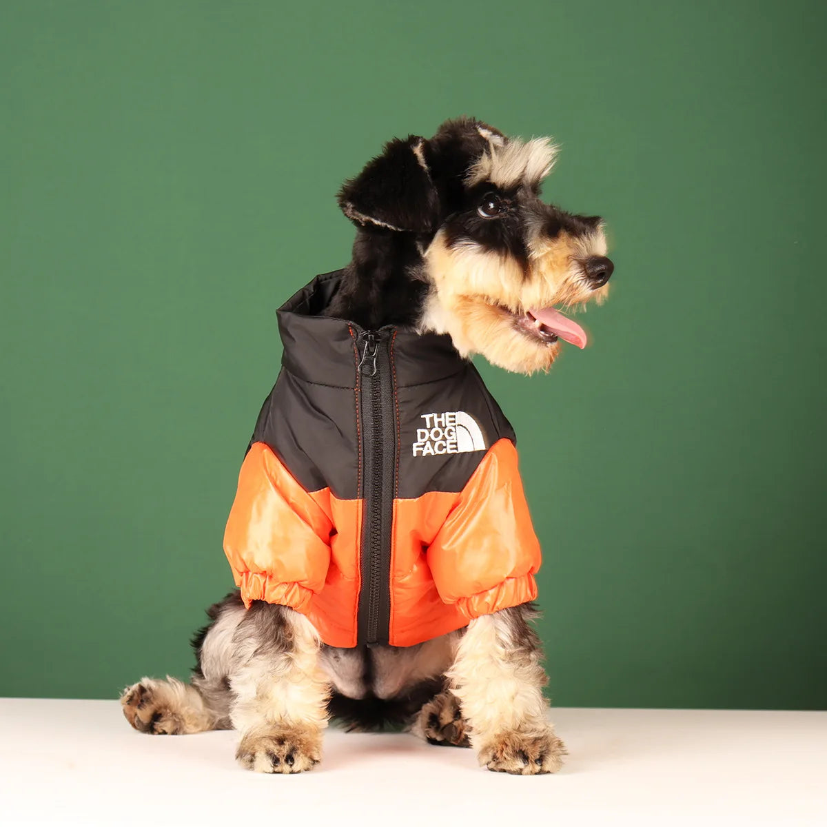 All-Season Reflective Dog Face Jacket