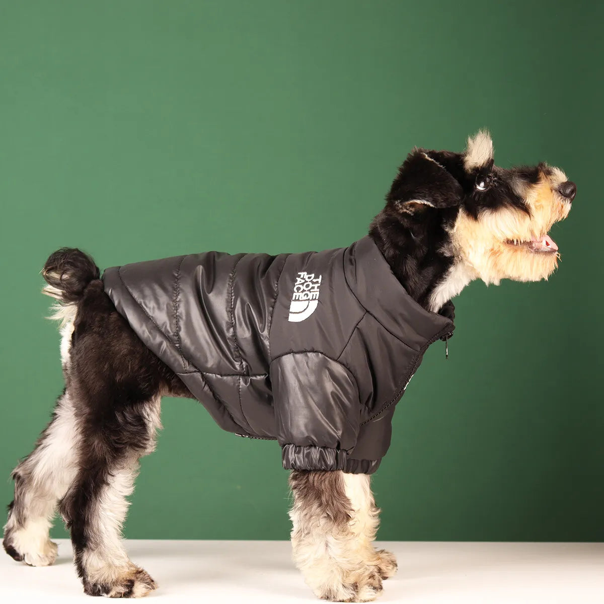 All-Season Reflective Dog Face Jacket