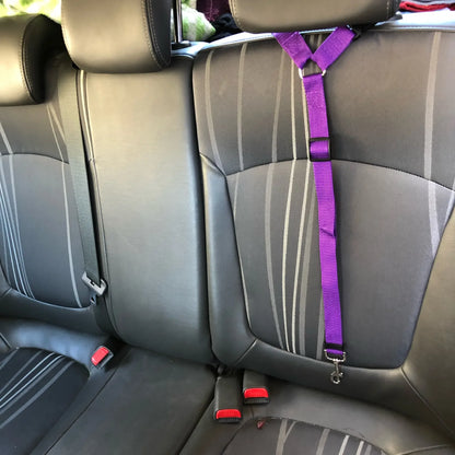 Pet Car Safety Harness Leash