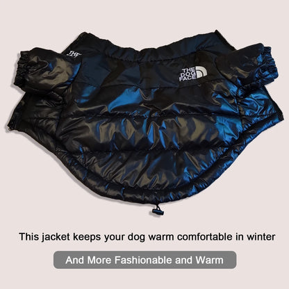 All-Season Reflective Dog Face Jacket